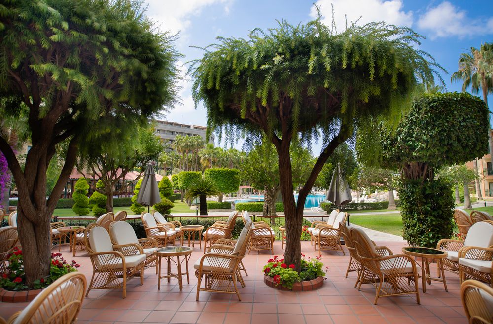 Miramare Queen Hotel - 55