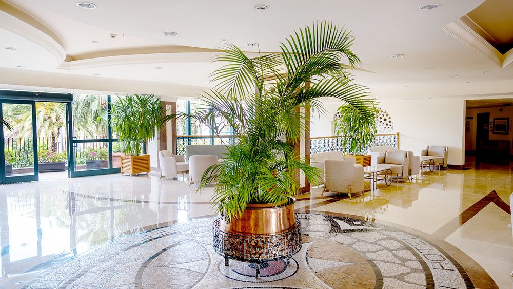 Miramare Queen Hotel - 28