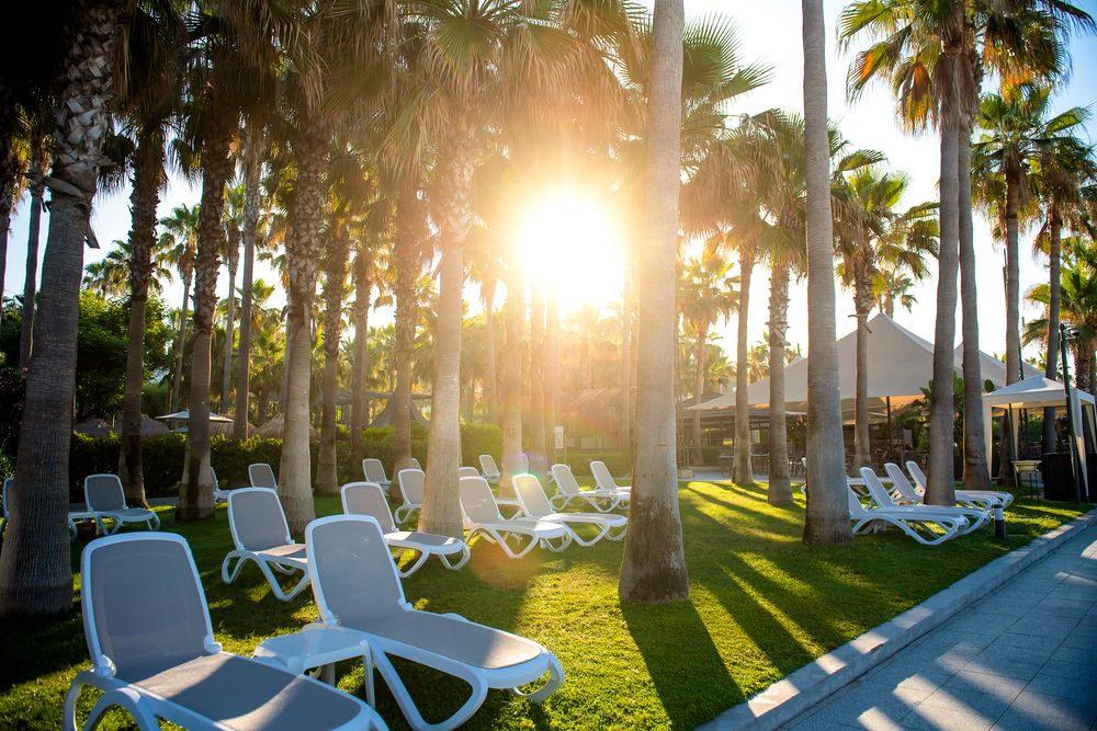 Miramare Queen Hotel - 18