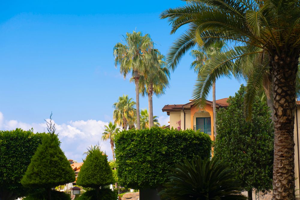 Miramare Queen Hotel - 14