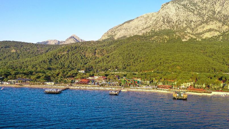 Crystal Flora Pearl Collection - 3