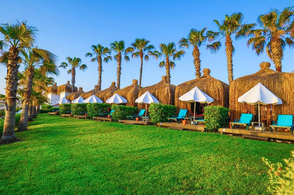 Картинка отеля - 9