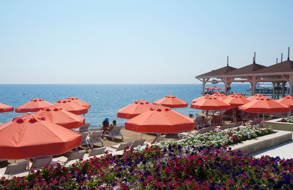 Crystal Flora Pearl Collection - 24