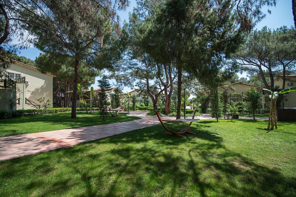 Crystal Flora Pearl Collection - 16