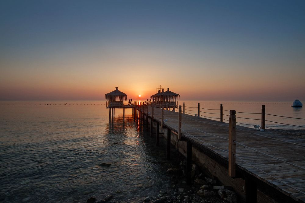 Crystal Flora Pearl Collection - 20