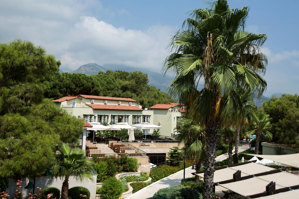 Картинка отеля - 6