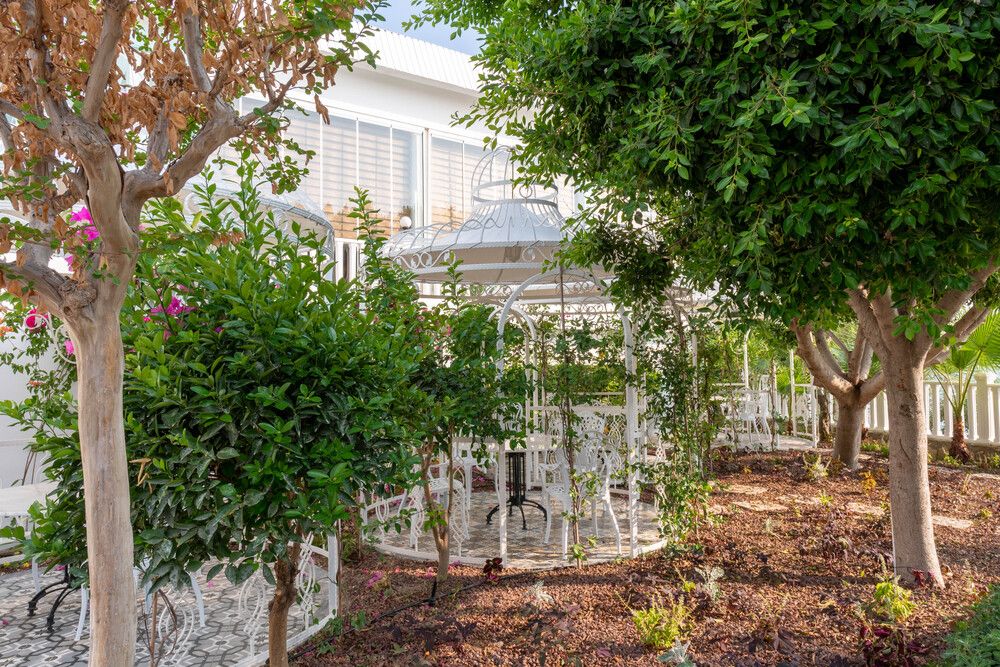 Flora Garden Beach (only adults 16+) - 47