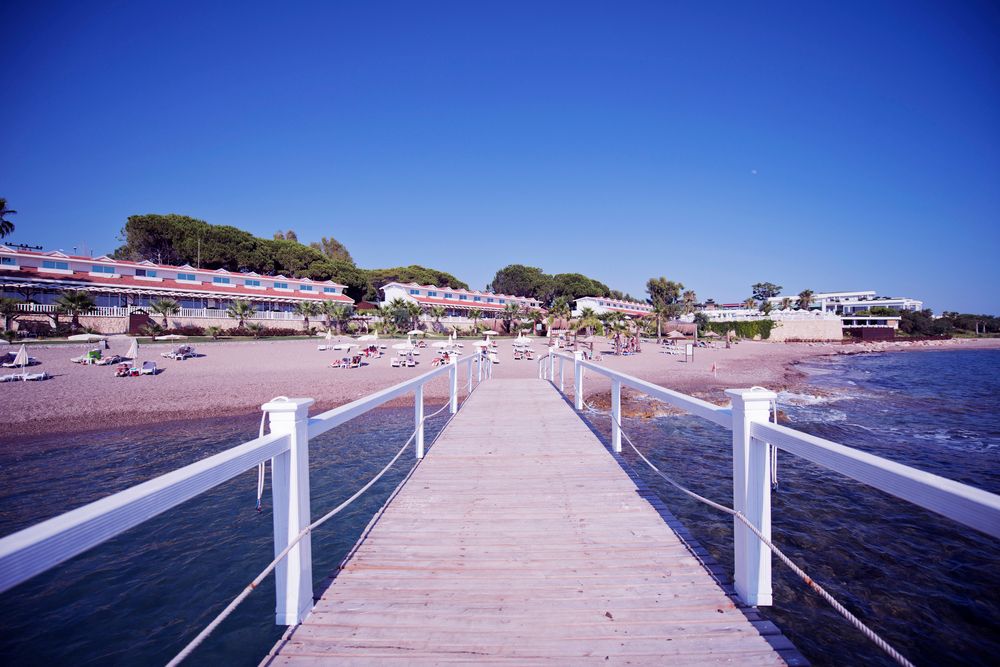 Flora Garden Beach (only adults 16+) - 21