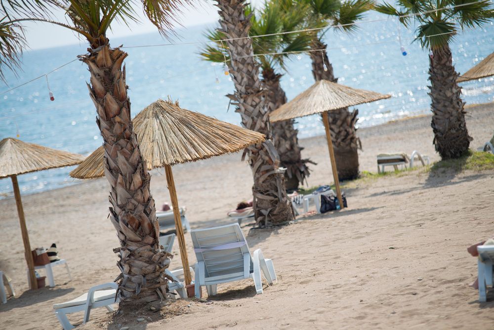 Flora Garden Beach (only adults 16+) - 17