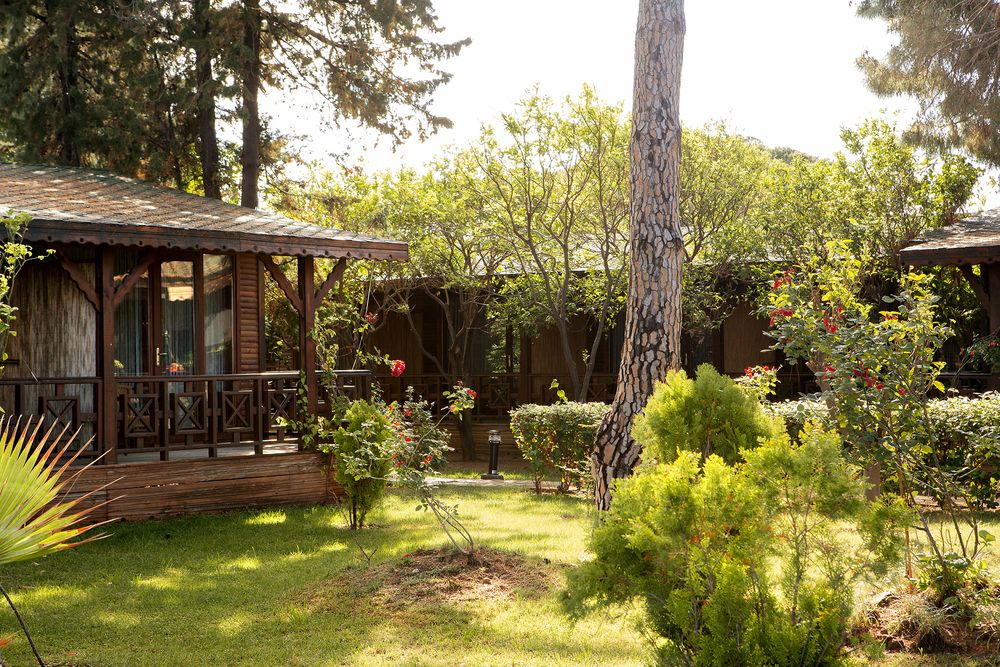 Flora Garden Beach (only adults 16+) - 14