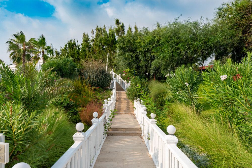 Flora Garden Beach (only adults 16+) - 13