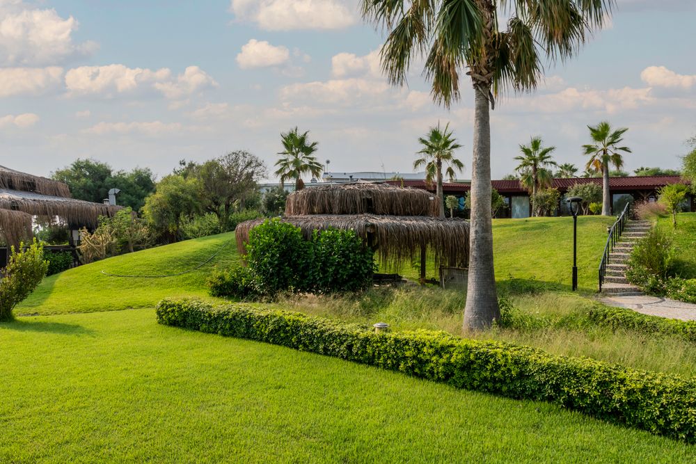 Flora Garden Beach (only adults 16+) - 12