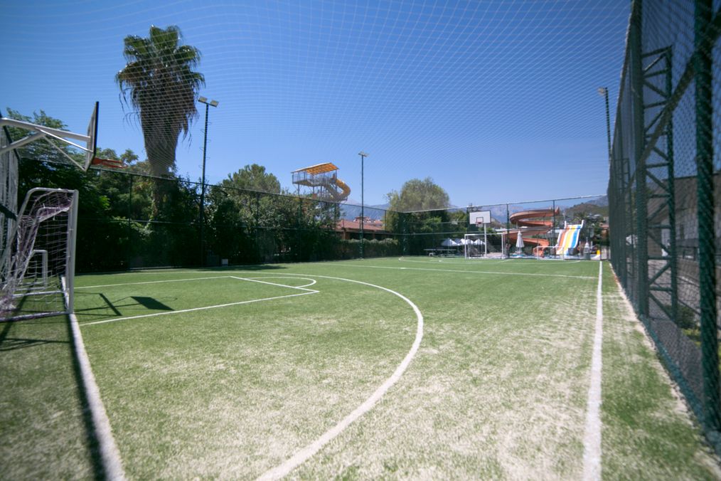 Картинка отеля - 55