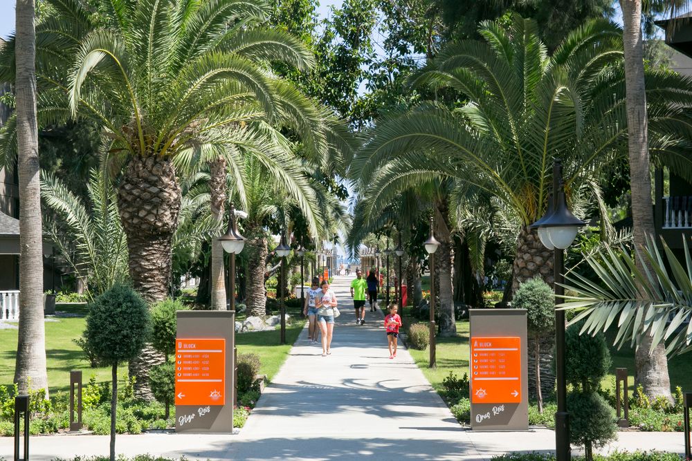 Картинка отеля - 17