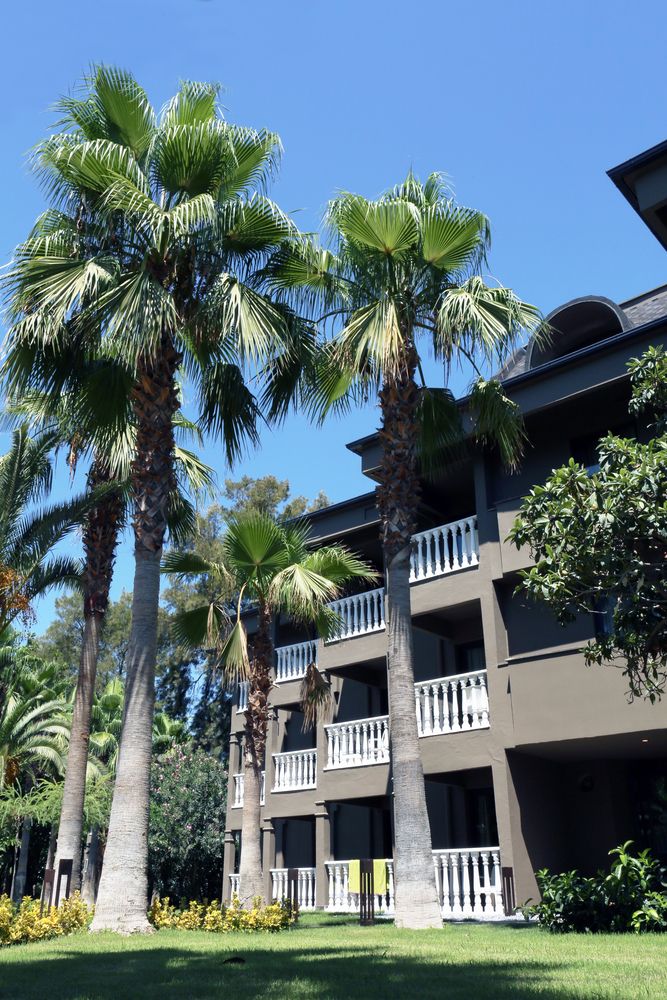 Sailors Beach Club - 15