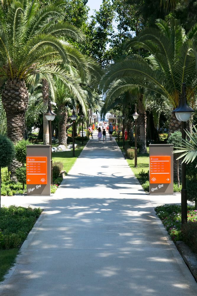 Картинка отеля - 18