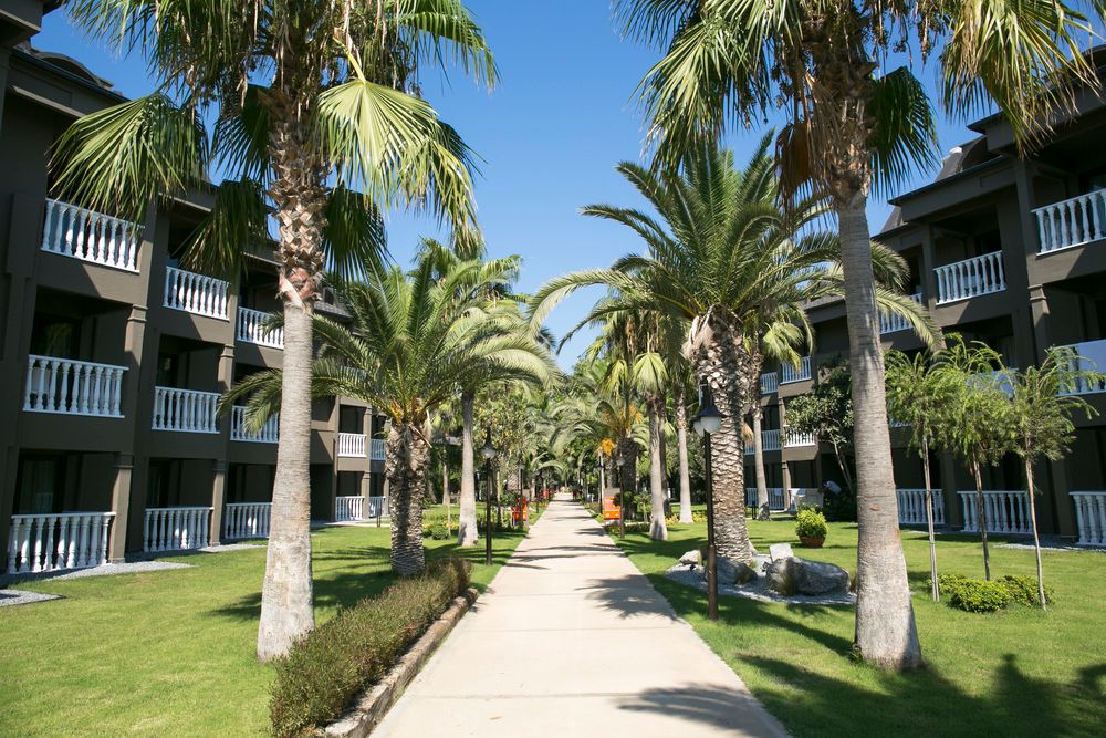 Картинка отеля - 16