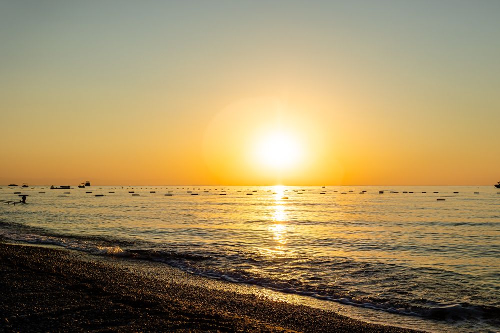 Club Hotel Phaselis Rose - 88