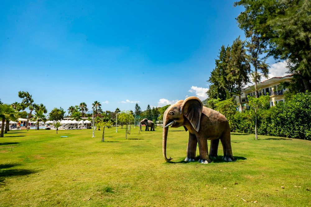 Club Hotel Phaselis Rose - 12