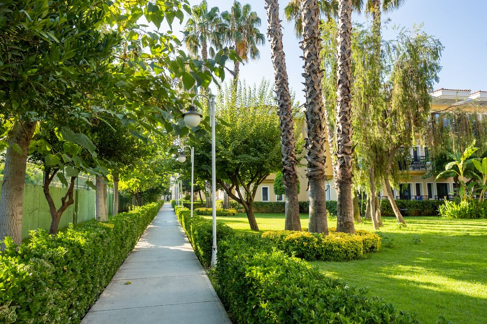 Картинка отеля - 11