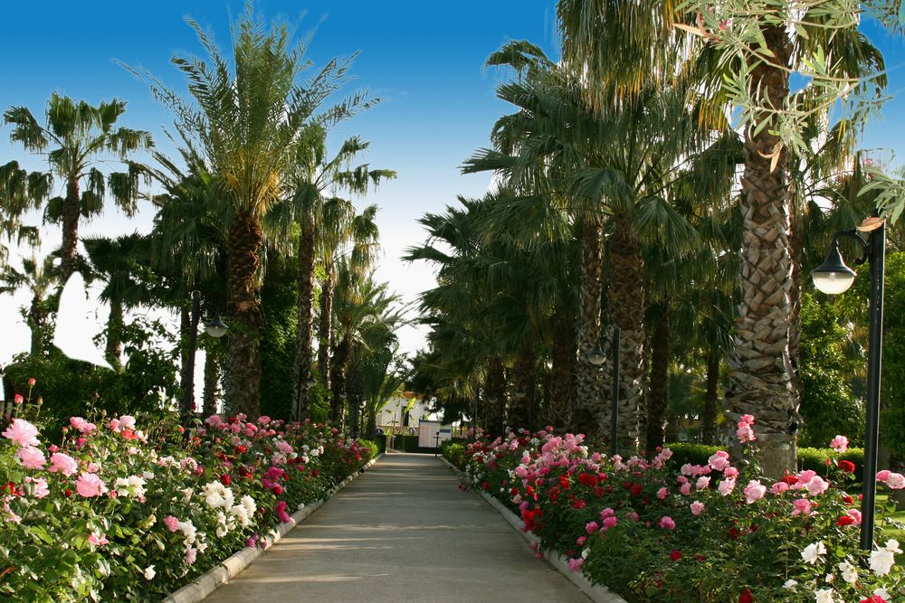 Adora Hotel & Resort  - 8