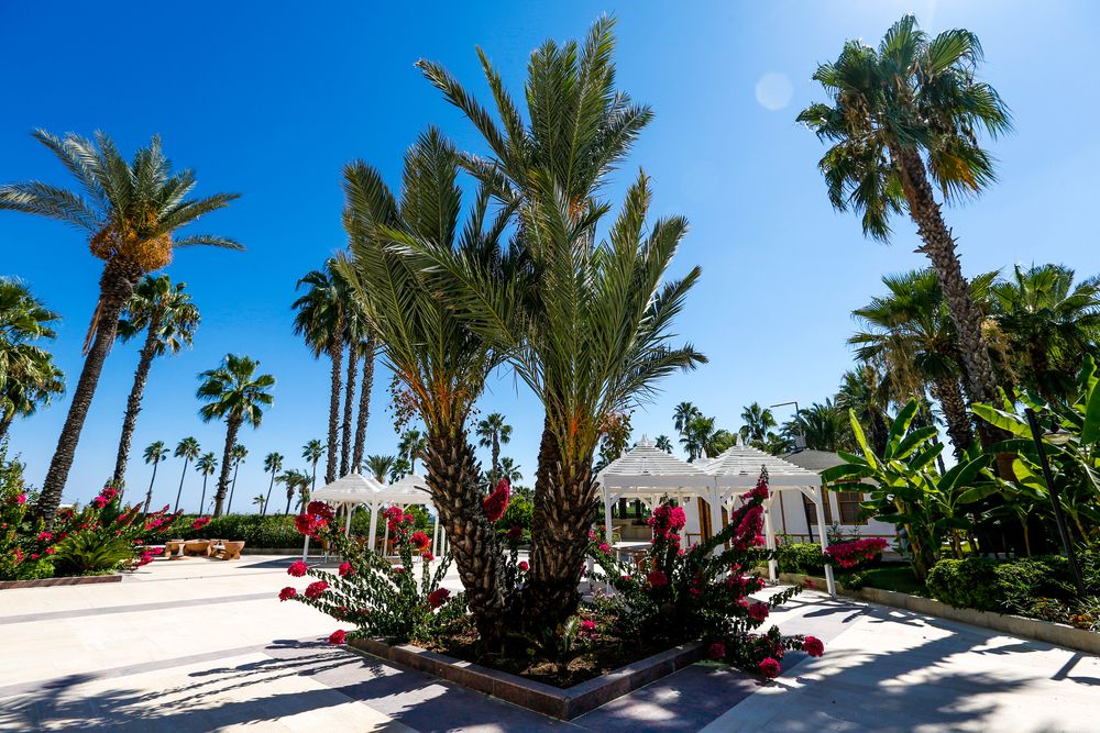 Adora Hotel & Resort  - 9