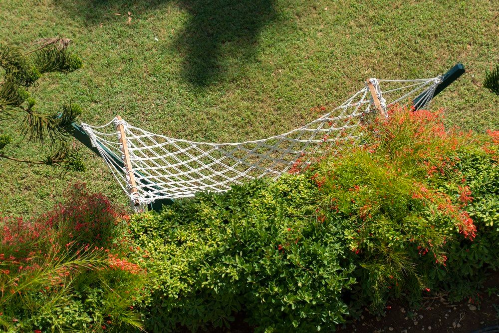 Картинка отеля - 39