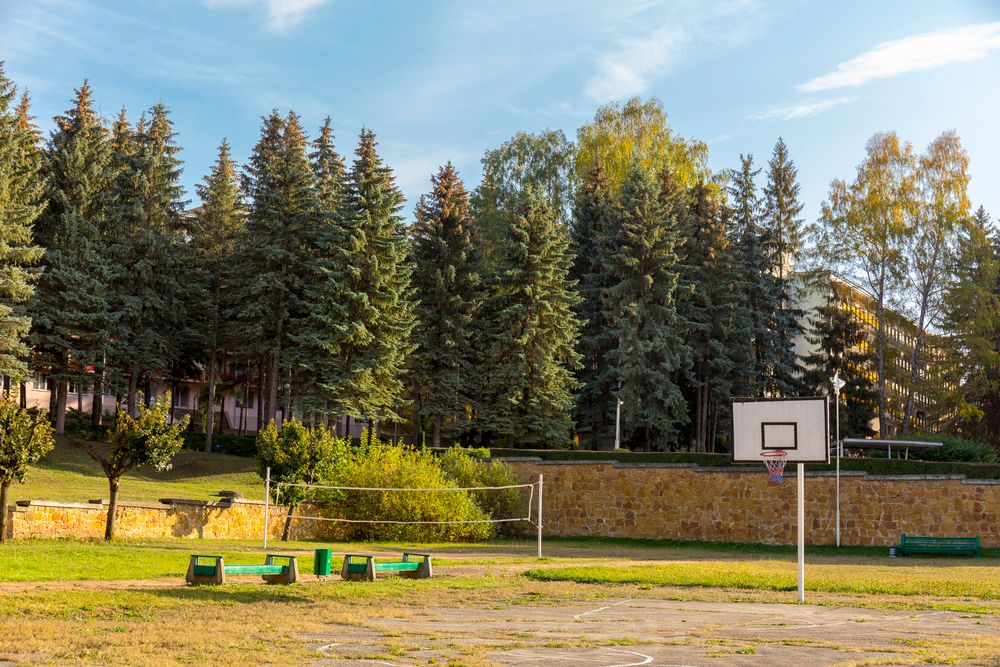 Картинка отеля - 14