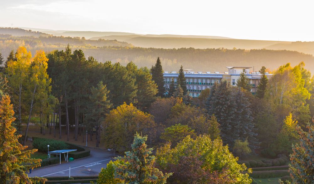 Картинка отеля - 10