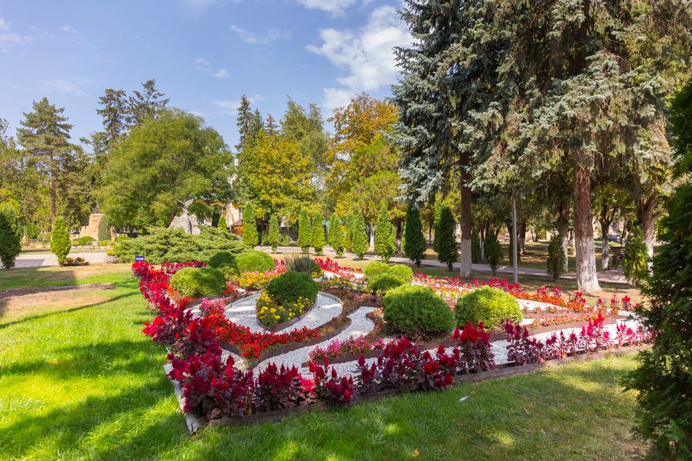 Картинка отеля - 12