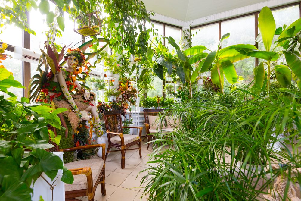 Картинка отеля - 28