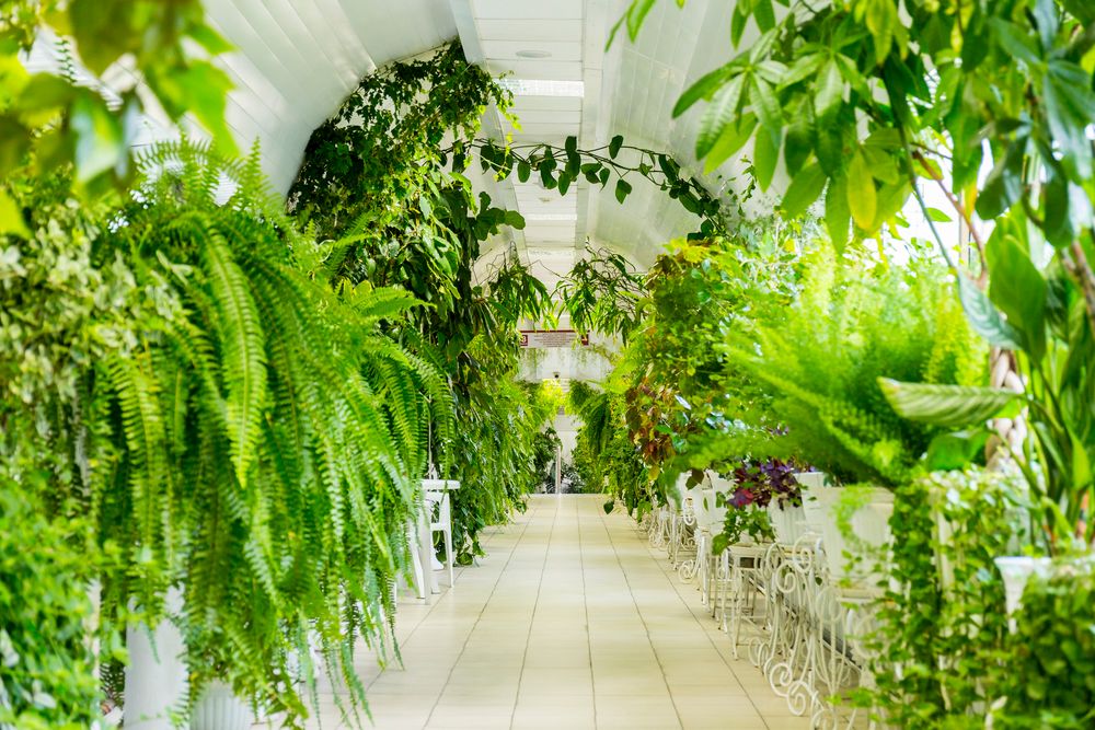 Картинка отеля - 26