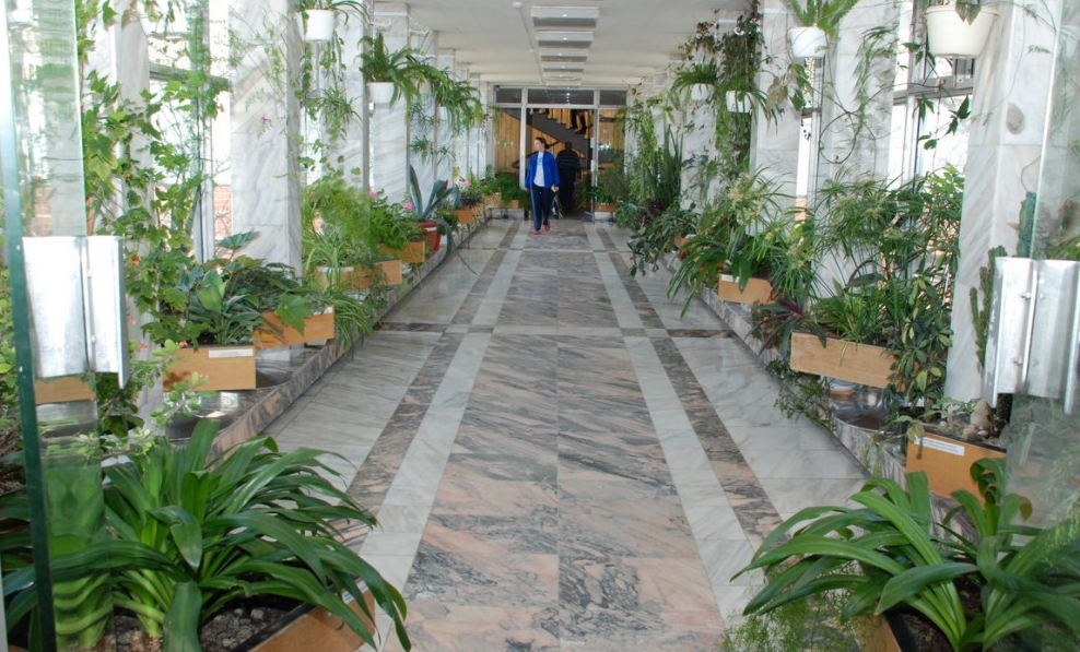 Картинка отеля - 3