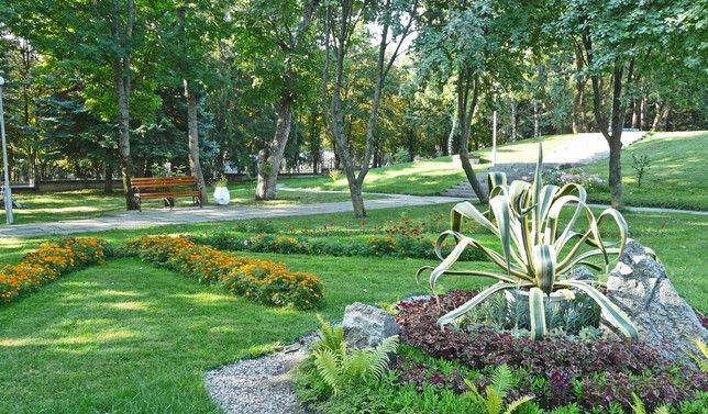 ЖЕМЧУЖИНА КАВКАЗА, санаторий - 9