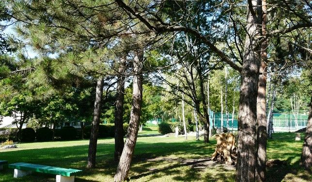 Картинка отеля - 5