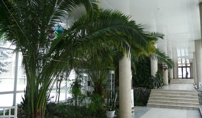 Картинка отеля - 11