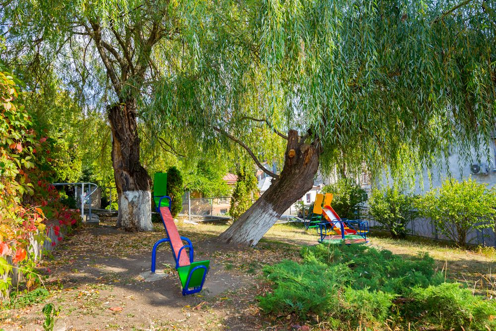 Картинка отеля - 30