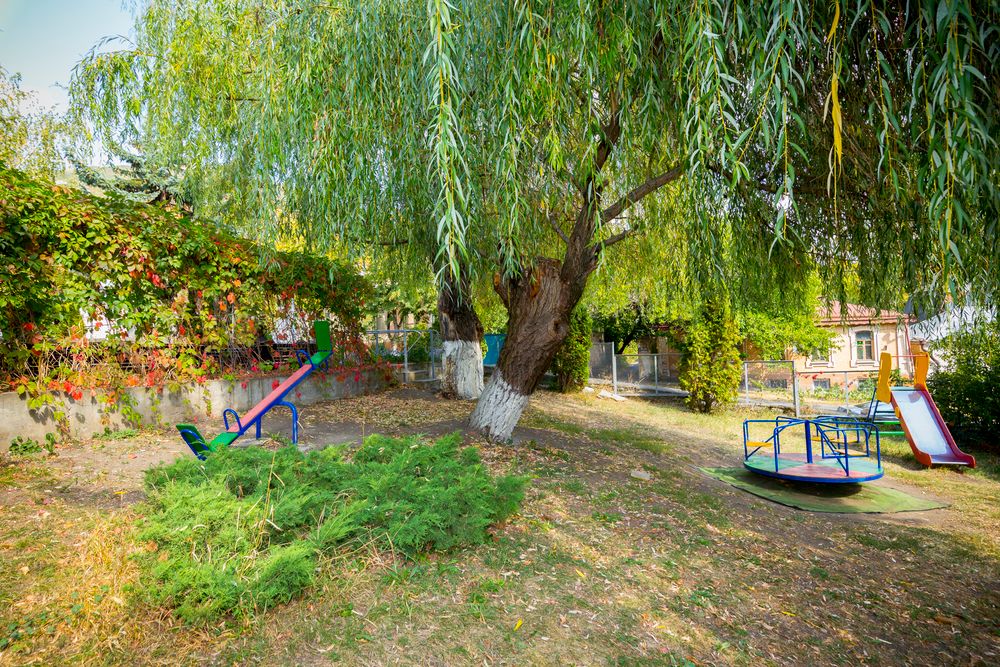 Картинка отеля - 29