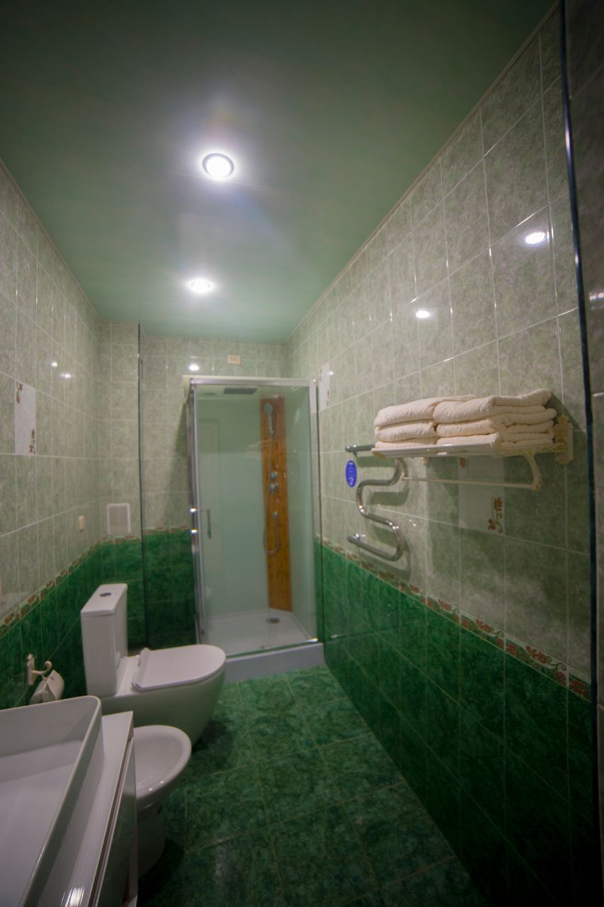 АЛЬПИНА, отель - 93