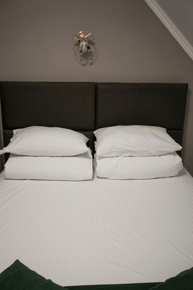 АЛЬПИНА, отель - 81