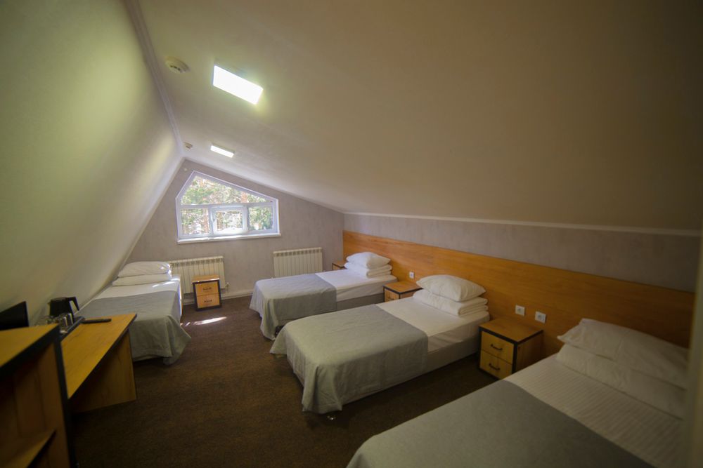 АЛЬПИНА, отель - 71