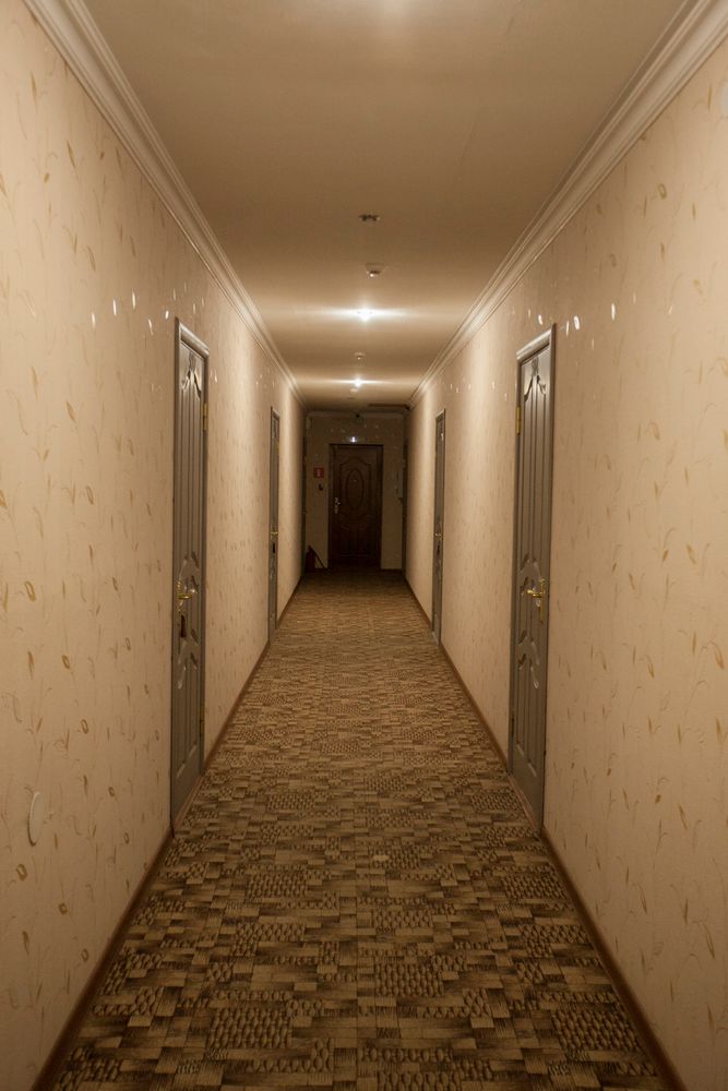 АЛЬПИНА, отель - 13