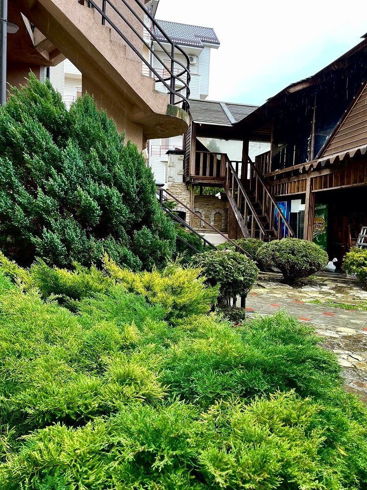 Картинка отеля - 7