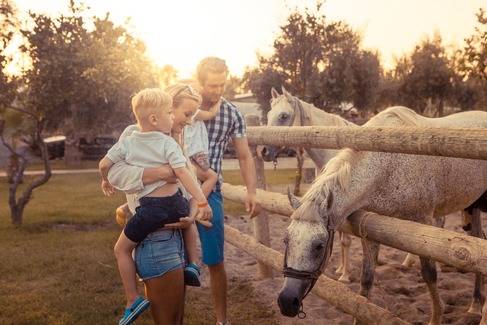 Club Hotel Turan Prince World - 209