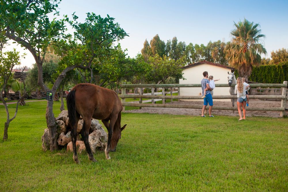 Club Hotel Turan Prince World - 208