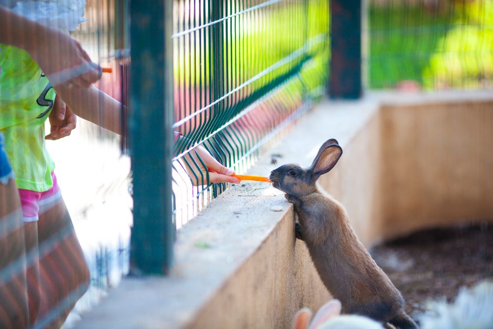 Club Hotel Turan Prince World - 206