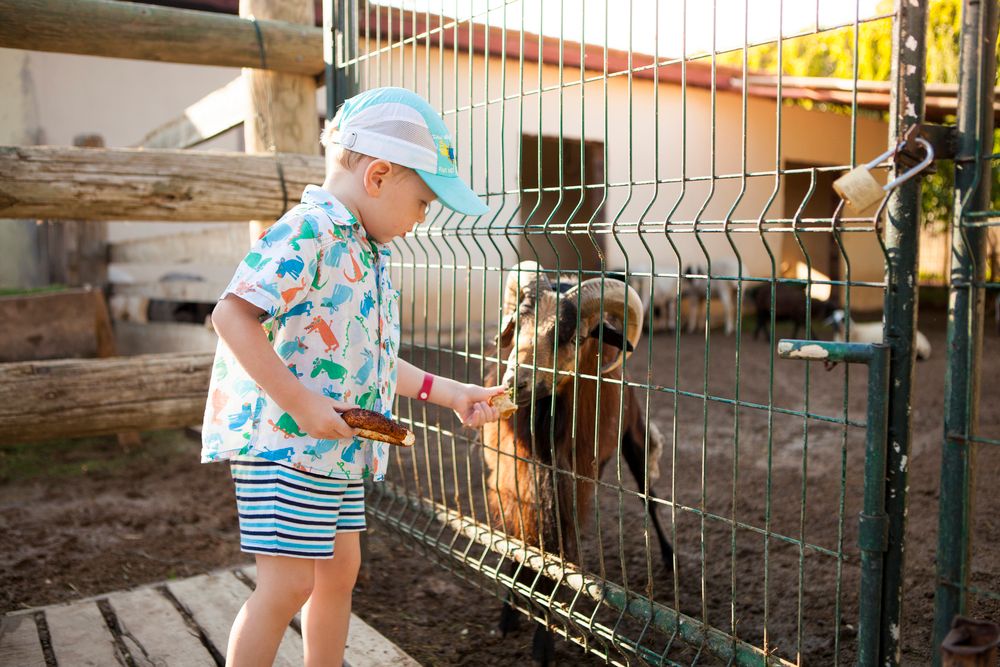 Club Hotel Turan Prince World - 204