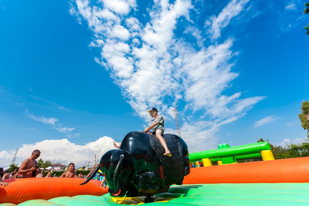 Club Hotel Turan Prince World - 179