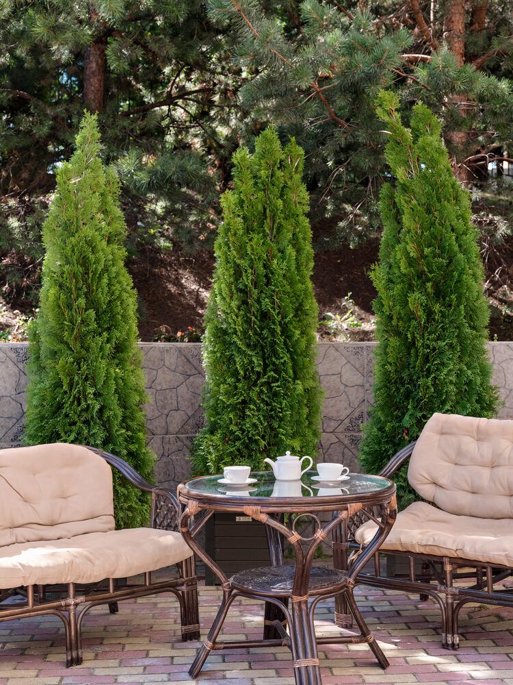 Картинка отеля - 6