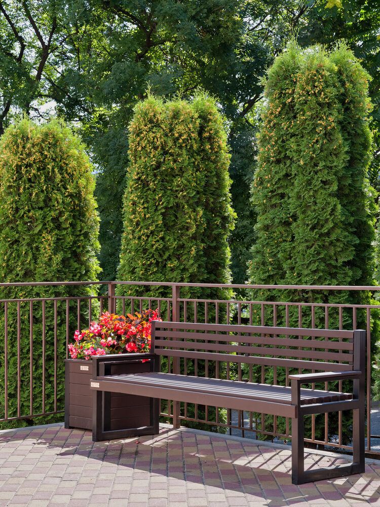 ВЕРНИСАЖ, санаторий (лечение с 18 лет) - 5